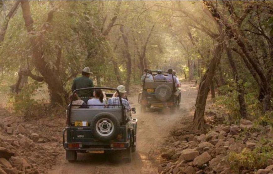 JEEP SAFARI