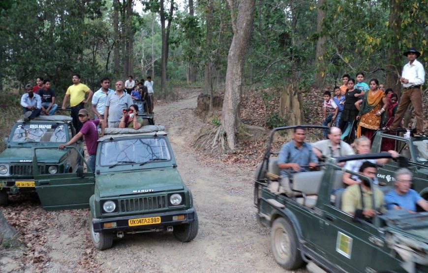 JEEP SAFARI