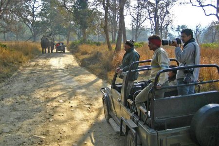 Corbett Fun Tour with 2 Jeep Safari