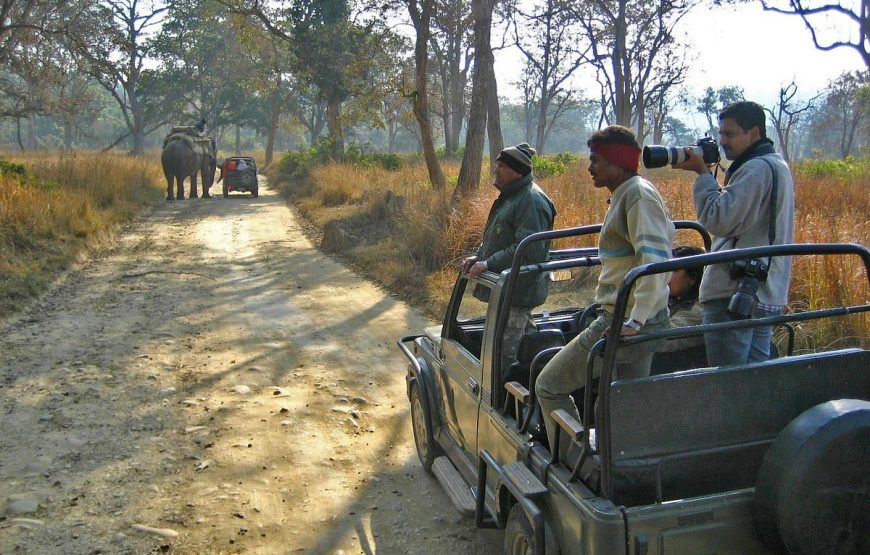 JEEP SAFARI