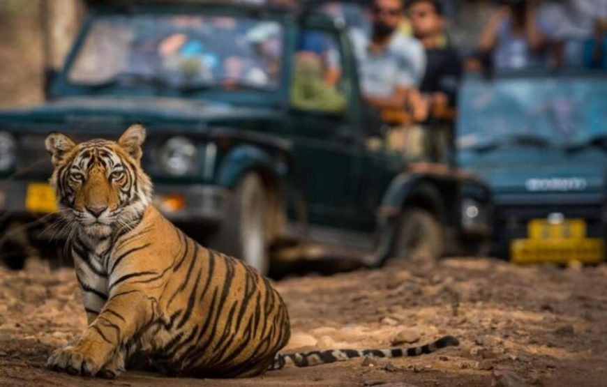 JEEP SAFARI