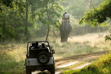 Jim Corbett 3 Days Package