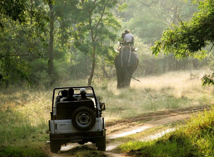 Jim Corbett 3 Days Package