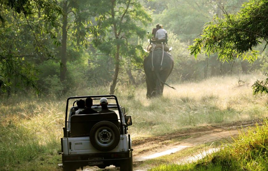 Jim Corbett 3 Days Package