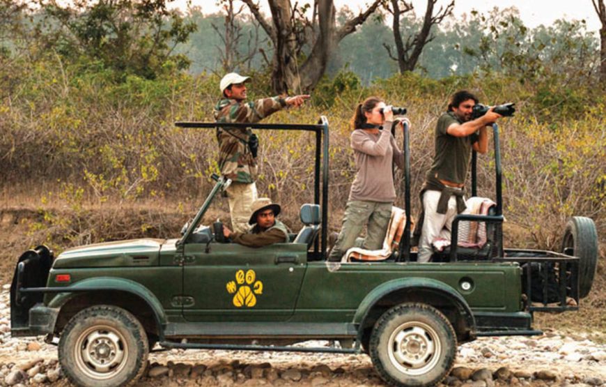 JEEP SAFARI